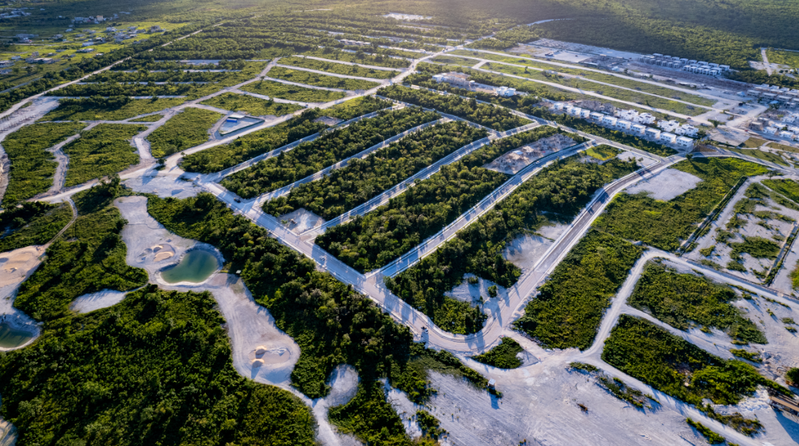 Vista Cana — playa artificial y palmeras